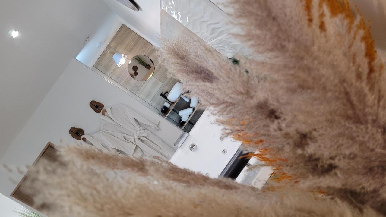 Studio Design Cocon Spa Prive A Deux Pas De Lille Bassee Exterior foto